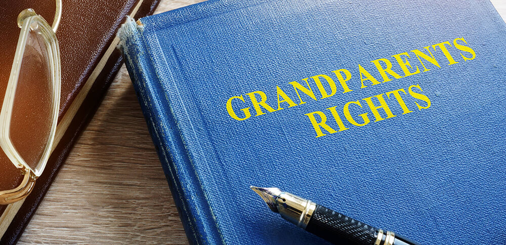 grandparent rights book (1)