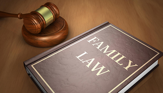 family law book2THUMBNAIL