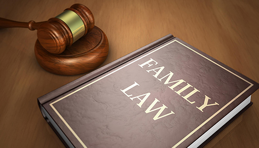 family law book2THUMBNAIL family law book2THUMBNAIL