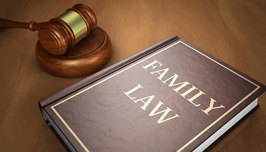 family law book2THUMBNAIL family law book2THUMBNAIL